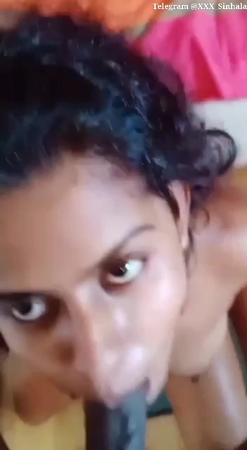 sinhala anal sex videos Sri Lankan Sex Videos