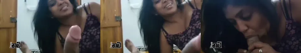 Kukku Mirikanawa | Sri Lankan Tits