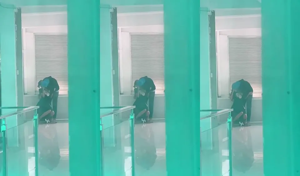 Lovely Birds Made a  Crazy Homemades