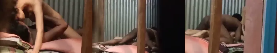 sinhala doggy videos